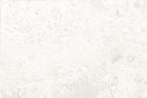 Old World Tabby - Savannah Stone Source